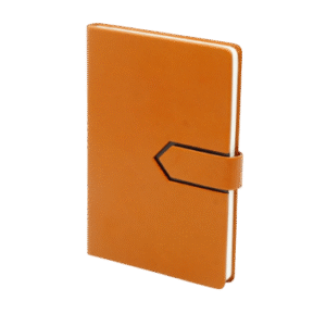 BROWN LEATHER - BOUND DIARY