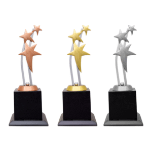 Star of Excellence Trophy