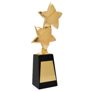 2 Star metal Trophy